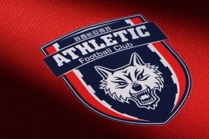 亿万28官网-陕足针对王万鹏等寻衅滋事做情况说明 已终止合同